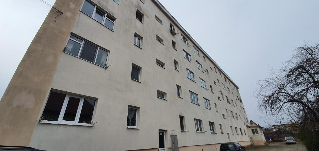 Garsoniera Horezu Daire Dış mekan fotoğraf